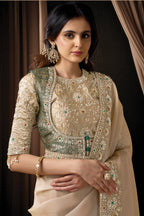Chicku Satin Saree for Wedding Guest with Sequins and Stone Work