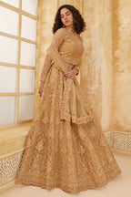 Golden Brown Net Lehenga Choli For Wedding Guest in Indian Festivals & Pakistani Weddings Dress - Thread Embroidery Work, Stone Work