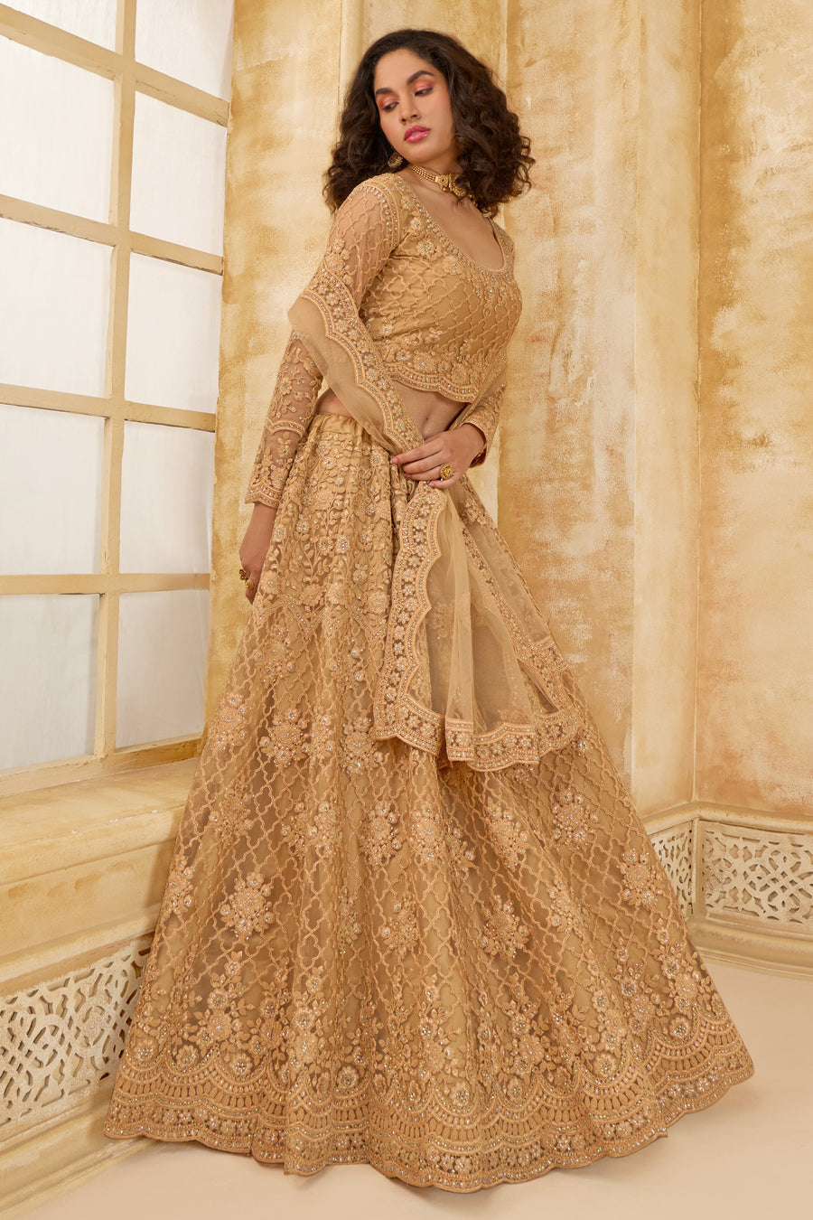 Golden Brown Net Lehenga Choli For Wedding Guest in Indian Festivals & Pakistani Weddings Dress - Thread Embroidery Work, Stone Work