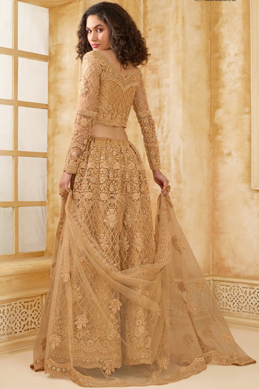 Golden Brown Net Lehenga Choli For Wedding Guest in Indian Festivals & Pakistani Weddings Dress - Thread Embroidery Work, Stone Work