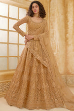 Golden Brown Net Lehenga Choli For Wedding Guest in Indian Festivals & Pakistani Weddings Dress - Thread Embroidery Work, Stone Work