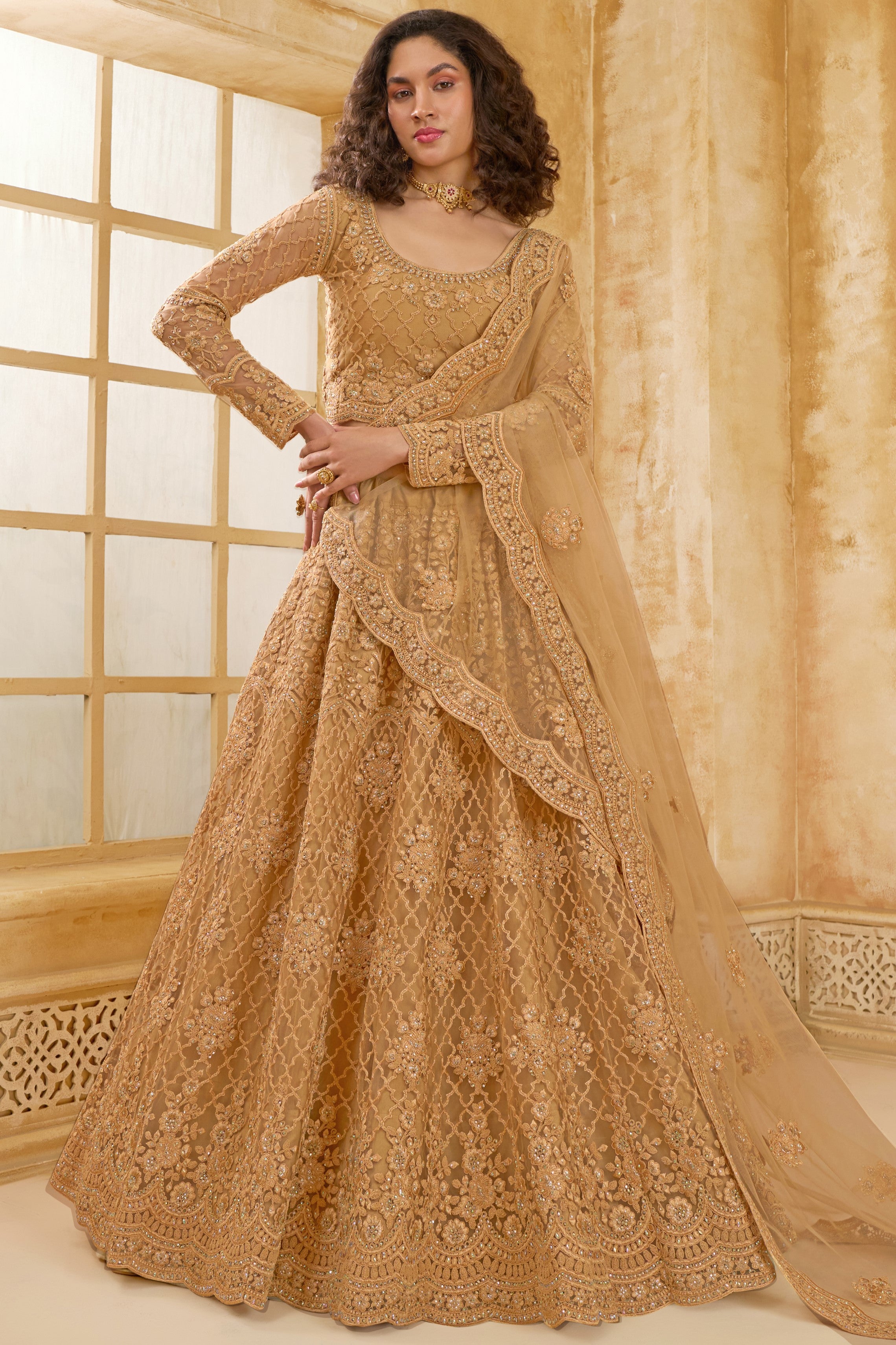 Golden Brown Net Lehenga Choli For Wedding Guest in Indian Festivals & Pakistani Weddings Dress - Thread Embroidery Work, Stone Work