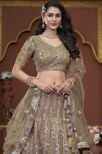 Golden Net Lehenga Choli For Indian Festivals & Pakistani Weddings Dress - Zarkan Work, Sequence Embroidery Work