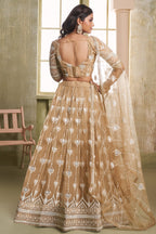Light Brown Net Lehenga Choli For Indian & Pakistani Wedding Festival - Thread Embroidery Work, Sequence Embroidery Work