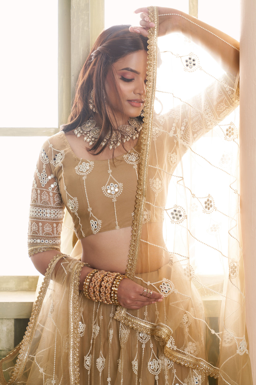 Light Brown Net Lehenga Choli For Indian & Pakistani Wedding Festival - Thread Embroidery Work, Sequence Embroidery Work