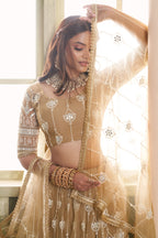 Light Brown Net Lehenga Choli For Indian & Pakistani Wedding Festival - Thread Embroidery Work, Sequence Embroidery Work