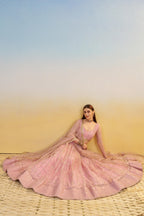Light Pink Net Lehenga Choli For Indian & Pakistani Wedding Festival - Thread & Sequins Embroidery Work