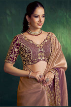 Brown embroidered saree, front view showing the embellished net blouse and golden bead work on the border