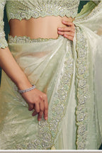 Mint green embroidered saree, waist-down view of the two-tone shaded satin pleats and drape