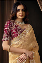 Tan Color Sequins & Mirror Pearl Work Saree for Wedding Guest in Velvet Satin