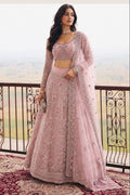Woman wearing a baby pink lehenga for wedding guest with embroidery work, full sleeve round neck net choli, full-length front view.