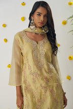 Yellow Crush Fabric Kameez with Pant & Chiffon Dupatta For Ladies Indian Festivals & Weddings - Embroidery Work