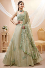 Woman wearing a pista green mehndi outfits lehenga in georgette with zari, dori and sequin work, sleeveless blouse, full-length front view.