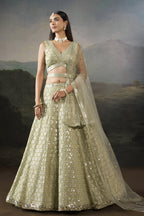Model in a champagne mehendi lehenga standing front-facing with a V neck blouse, flared sequinned skirt and sheer net dupatta.