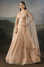 Front view of the pale peach lehenga, a graceful sangeet outfits for women option, with a V neck blouse and net dupatta falling to the side.