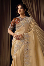 Beige Sequins Saree for Wedding Guest - Pearl & Crystal Stone Handwork - close-up view