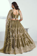 Green Net Lehenga Choli For Indian & Pakistani Wedding Festival - Thread Embroidery Work, Sequence Embroidery Work