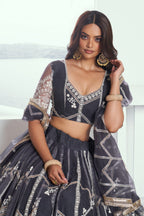 Grey Net Lehenga Choli For Indian & Pakistani Wedding Festival - Thread Embroidery Work, Sequence Embroidery Work