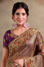 Brown embroidered saree with khatli and sequin embroidery, front view showing the embellished blouse and detailed border