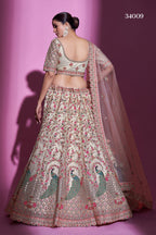 Cream Pakistani Net Lehenga Choli For Indian Festival & Weddings - Sequence Embroidery Work, Stone Work, Dori Work