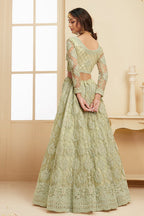 Light Green Pakistani Net Lehenga Choli For Indian Festivals & Weddings - Thread Embroidery Work, Codding Embroidery Work, Stone Work