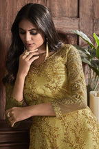 Light Gray Pakistani Net Salwar Kameez For Wedding & Festival - Embroidery Work