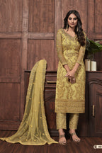 Light Gray Pakistani Net Salwar Kameez For Wedding & Festival - Embroidery Work