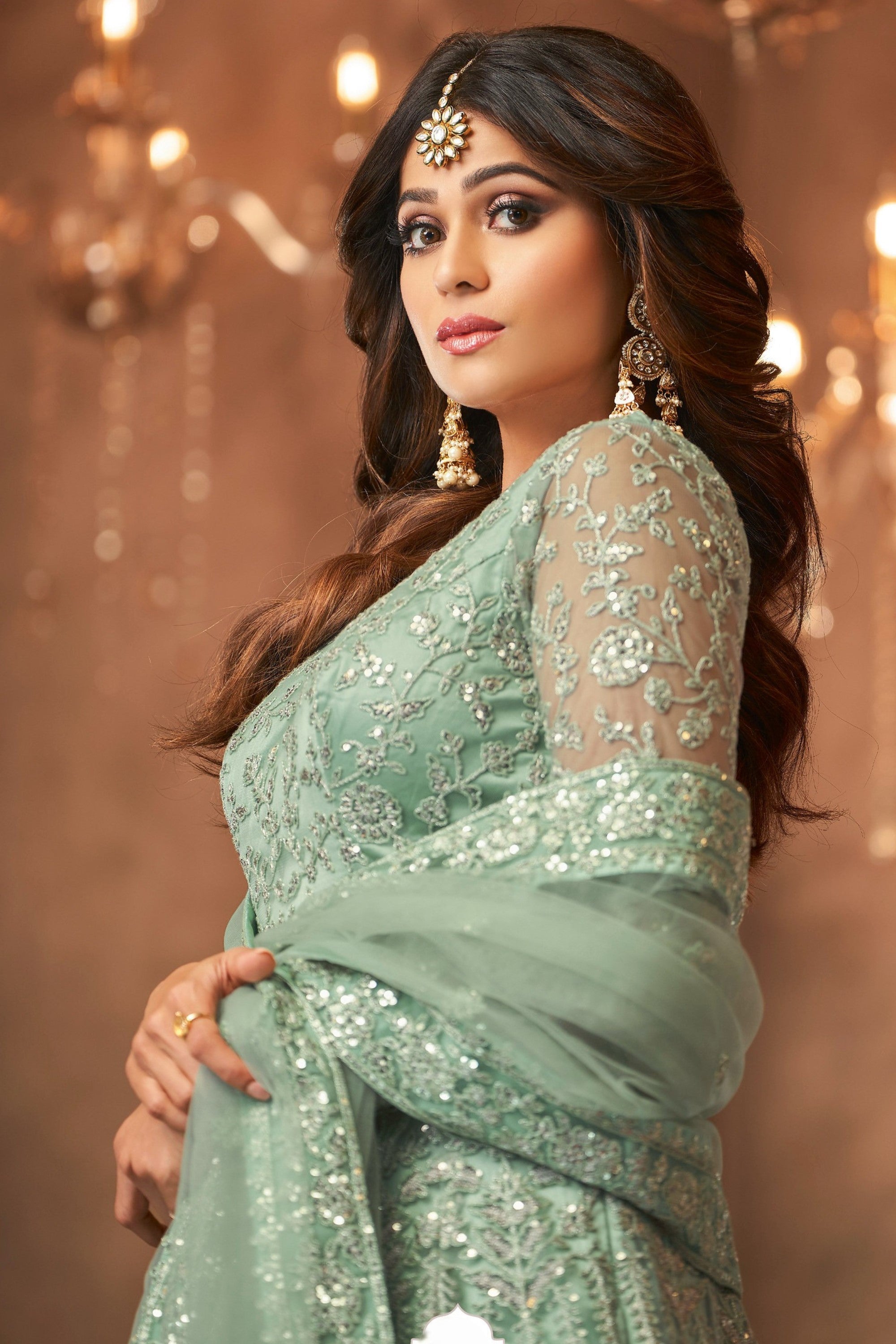 Light Green Pakistani Net Anarkali Gown For Wedding & Festival - Embroidery Work