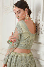 Light Green Pakistani Net Lehenga Choli For Indian Festivals & Weddings - Thread Embroidery Work, Codding Embroidery Work, Butta Work, Stone Work