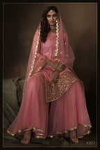 Pink Pakistani Net Sharara For Festivals & Indian Weddings - Sequence Embroidery Work,